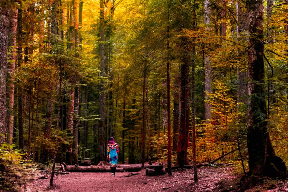 A hiker walking through an autumn forest