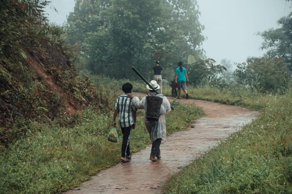 Illustrative stock photo: people walking a wet path through a green park in the rain
