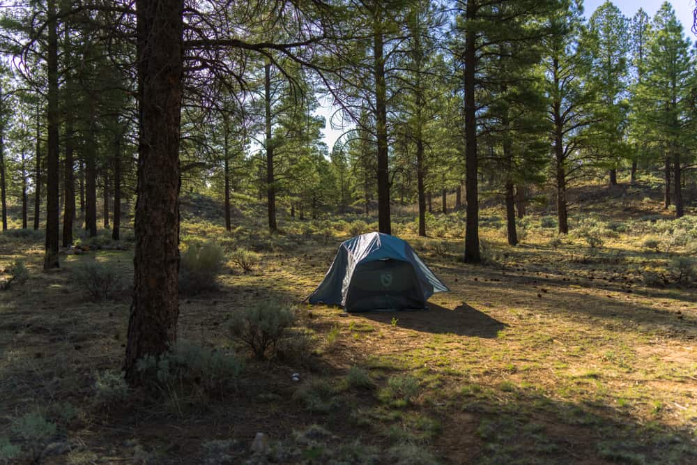 Illustrative stock photo: a small tent pitched in a sunlit forest