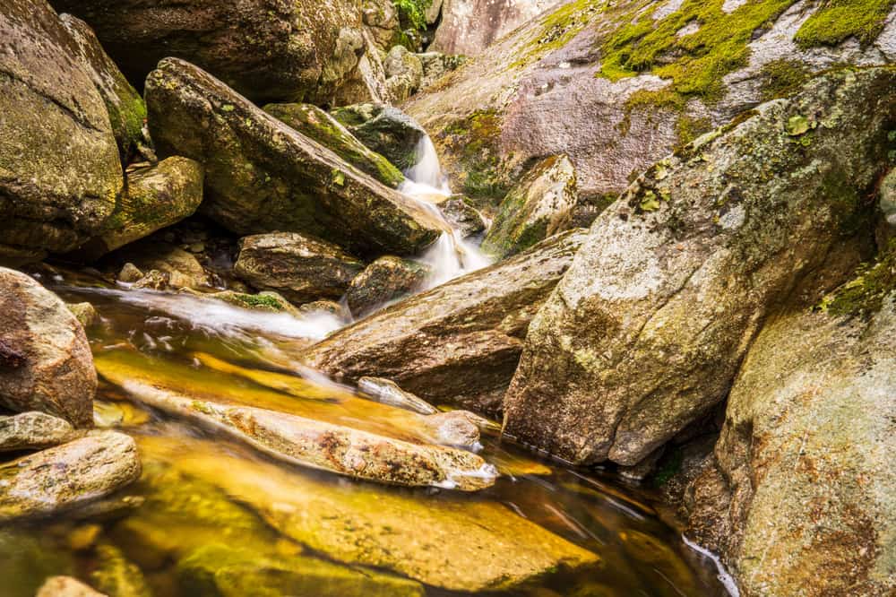 Illustrative stock photo: a clear stream running over mossy rocks